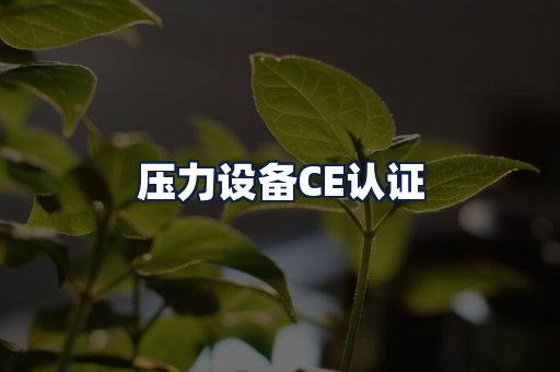 压力设备CE认证